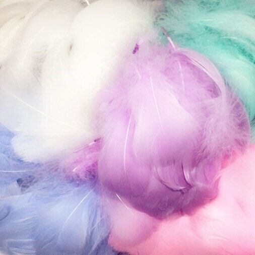 100x Macaron Mixed Colour 3-8cm Goose Feathers DIY Craft Dream Catcher Party AU