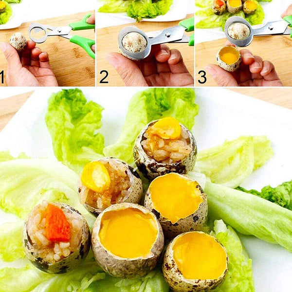Pigeon Quail Egg Scissors Cracker Opener Cigar Cutter Tool Stainless Steel AU