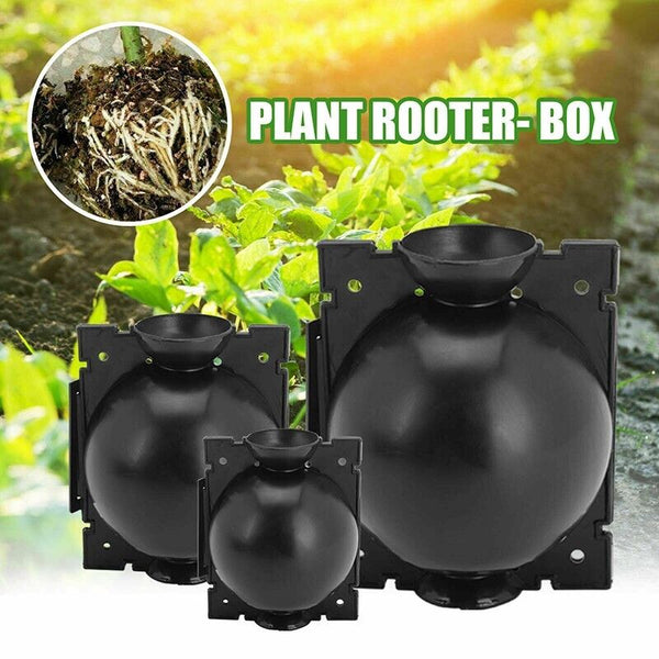 10Pcs Plant Rooting High Pressure Propagation Ball Root Grow Grafting Box AU