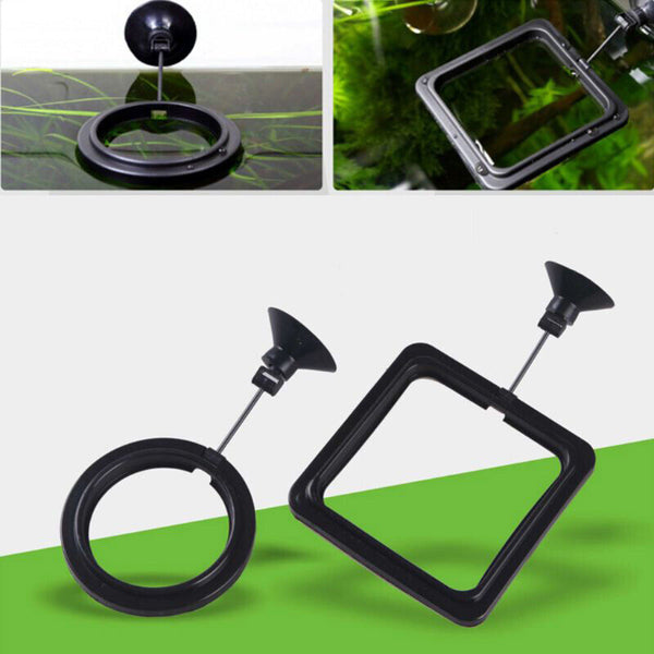 2PCS Fish Feeding Ring Aquarium Tank Station Floating Food Feeder Square/Circle
