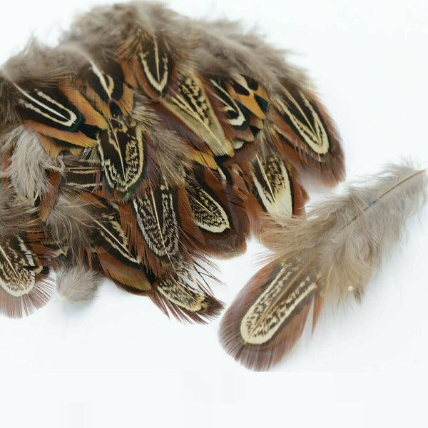 BULK 50pcs Natural Pheasant Feathers 5-8cm DIY Craft Millinery Smudge Fan