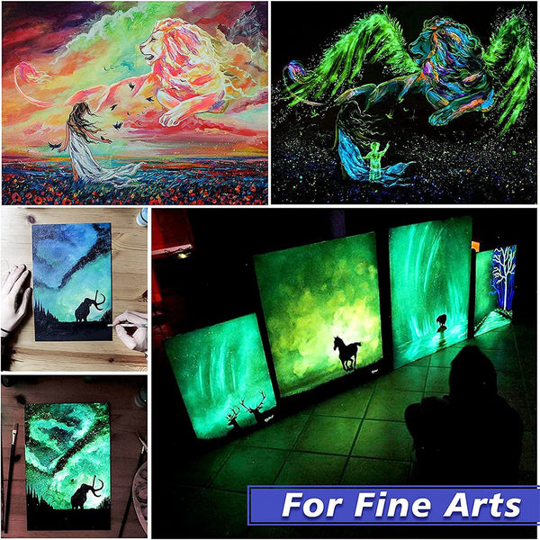 12Pcs Glow In the Dark Powder Colorant Dye Luminous Resin Paint Pigment Kit AUS