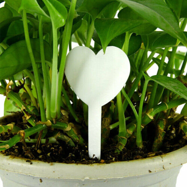 Up to 200X Heart-Shaped Plant Labels Flexible Plastic Garden Tag Nursey Seeding