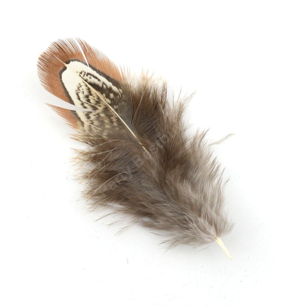 BULK 50pcs Natural Pheasant Feathers 5-8cm DIY Craft Millinery Smudge Fan