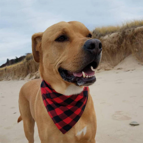 Dog Bandana Scarf Collar Triangular Bandage Plaid Washable Bib Puppy Neckerchief