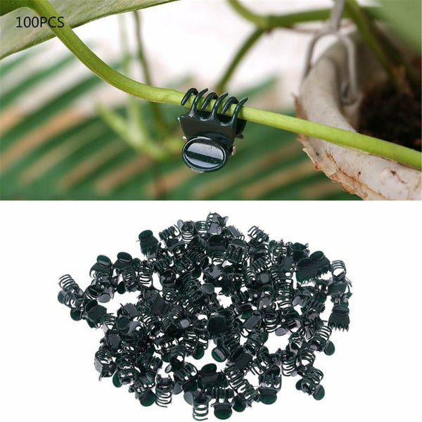 100Pcs Plant Garden Clips Vegetable Support Flower Holding Vine Orchid Clips AUS