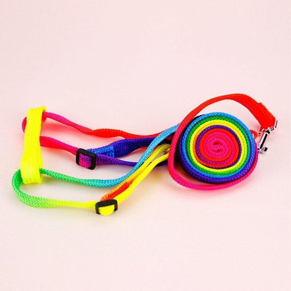 3pcs Nylon Small Mini Pet Adjustable Harness Lead Leash Collar Belt Safety Walk