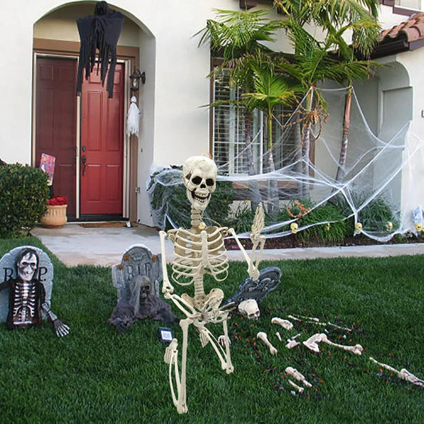 Halloween Human Skeleton Head Body Model Life Size Model House Prop Medical AU - Lets Party