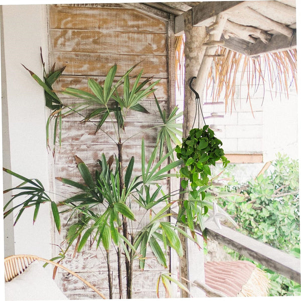 10pcs 36cm Flower Pot Hook Hanging Baskets 3 Prong Hanger for Plants Hanging Pot