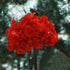 products/s-l1600_df3a5888-5f86-41c7-99b8-858ed70aa013.jpg