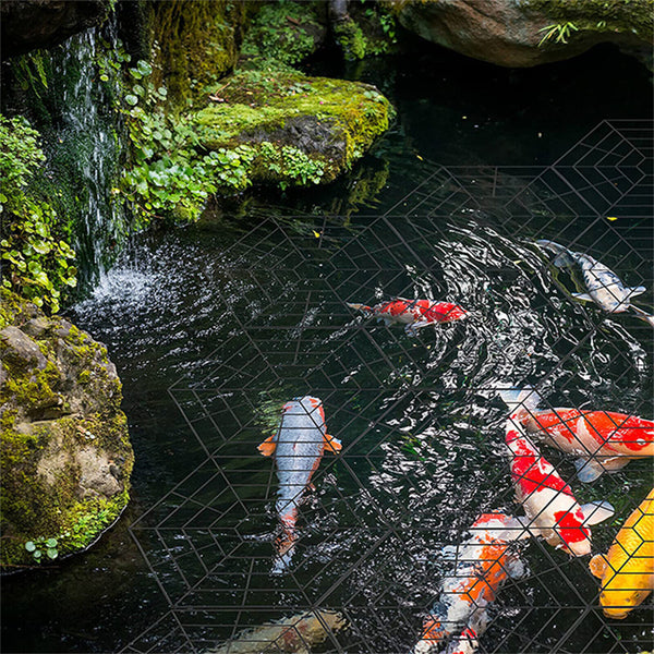 up 40xFloating Pond Protectors Plastic Net Fish Guard Grid Cover for Birds Pests - Lets Party