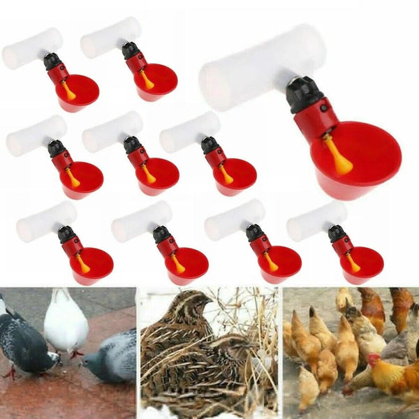 10PCS Automatic Cups Water Feeder Drinker Chicken Waterer Poultry Chook Bird AUS