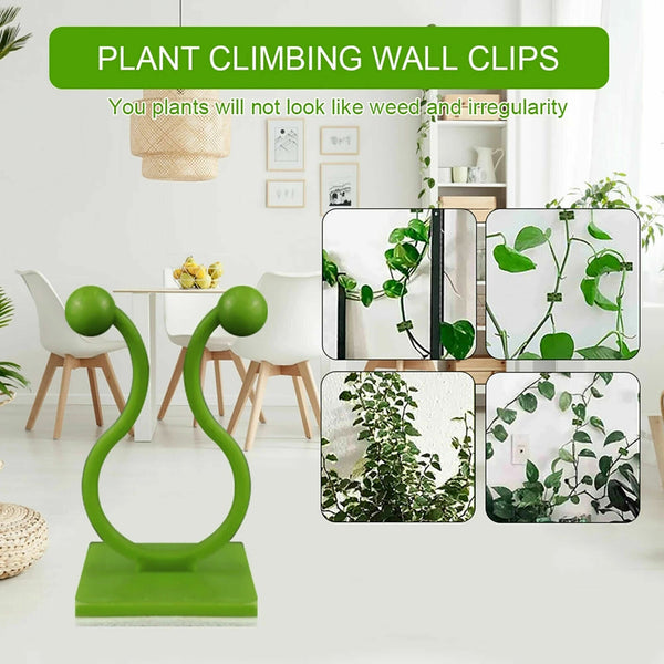 200Pcs Invisible Wall Rattan Clamp Clip Plant Climbing Wall Clip Wall Vine Fixt