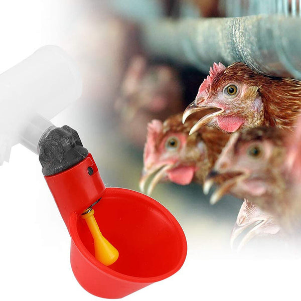 10PCS Automatic Cups Water Feeder Drinker Chicken Waterer Poultry Chook Bird AUS
