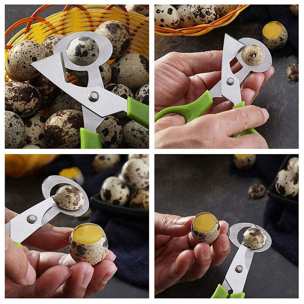 Pigeon Quail Egg Scissors Cracker Opener Cigar Cutter Tool Stainless Steel AU