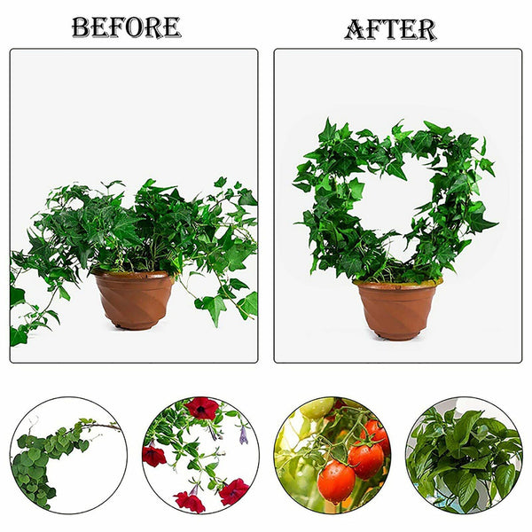 2pcs Metal Garden Trellis Climbing Plants Flower Plant Holder Heart Round Shaped