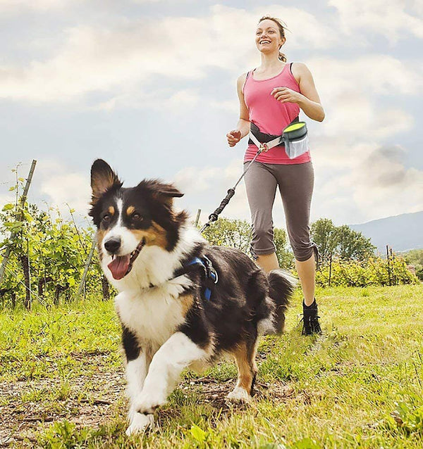 Dog Treat Training Pouch Pet Training Bag Large Capacity Puppy Snack Waist Bags