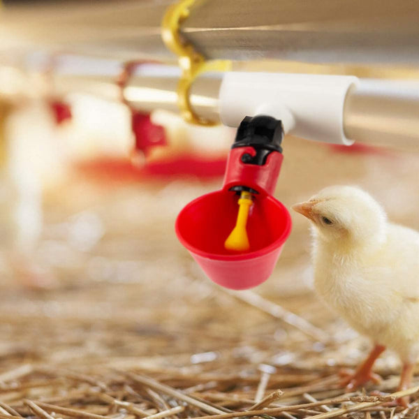 10PCS Automatic Cups Water Feeder Drinker Chicken Waterer Poultry Chook Bird AUS