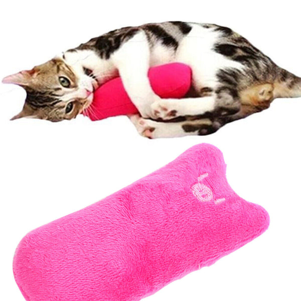 2x Chew Teeth Grinding Toys Crazy Pillow Catnip interactive Gift Cat Scratch Pet