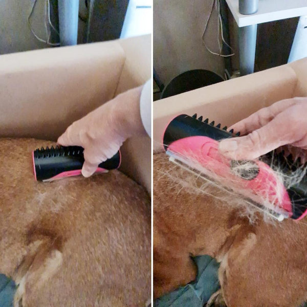 3in1 Deshedding Tool Dog Cat Horse Pet Grooming Brush Comb Hair Removal Bristle