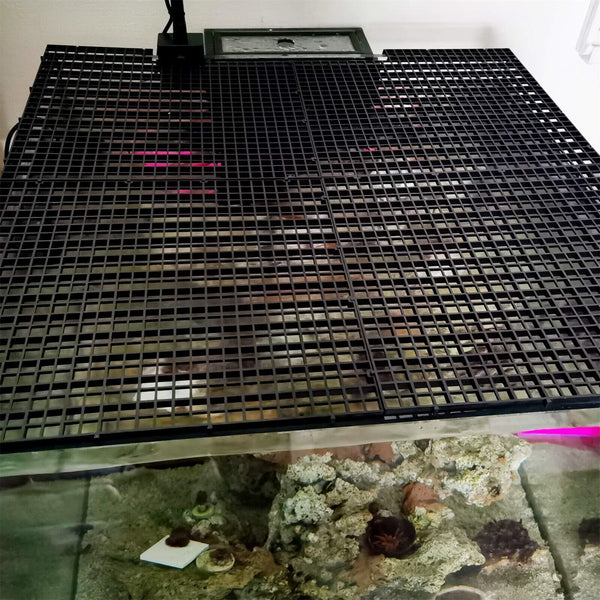 4PCS Fish Tank Grid Divider Tray Filter Bottom Egg Crate Isolate Aquarium Set AU