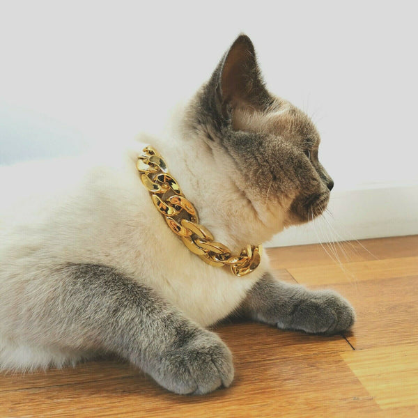 Gold Puppy Chain Necklace Pet Small Dog Necklace Collar Jewelry Neck Accessory