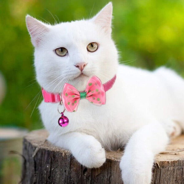 Bow Tie Cat Dog Kitten Collar with Breakaway Safety Release Buckle with Bell AU