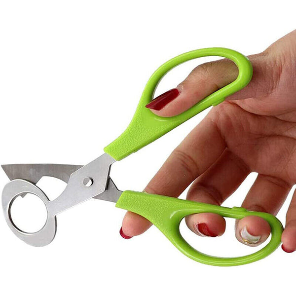 Pigeon Quail Egg Scissors Cracker Opener Cigar Cutter Tool Stainless Steel AU