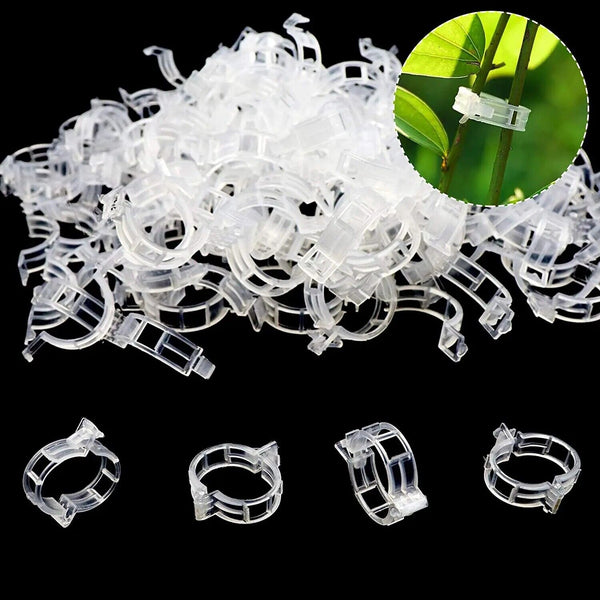 100Pcs Tomato Greenhouse Garden Plant Support Veggie Clip Trellis Twine AU