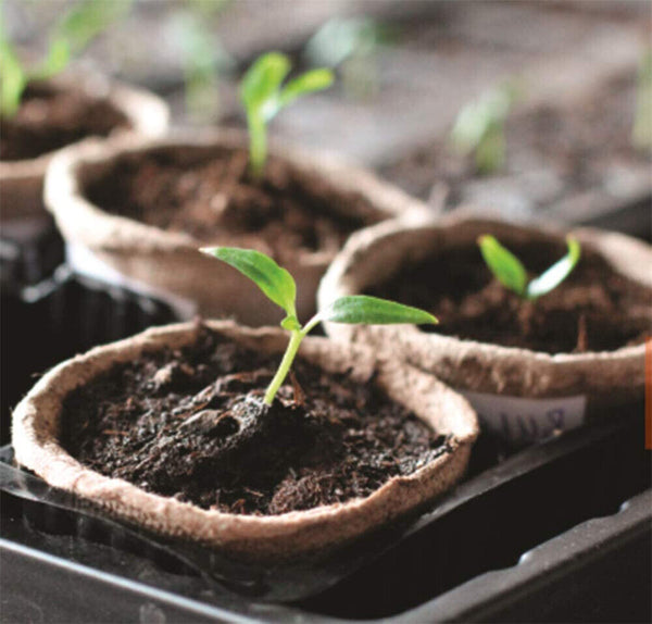 Biodegradable Paper Seedling Pots Seed Starter Garden Nursery Round Herb Planter