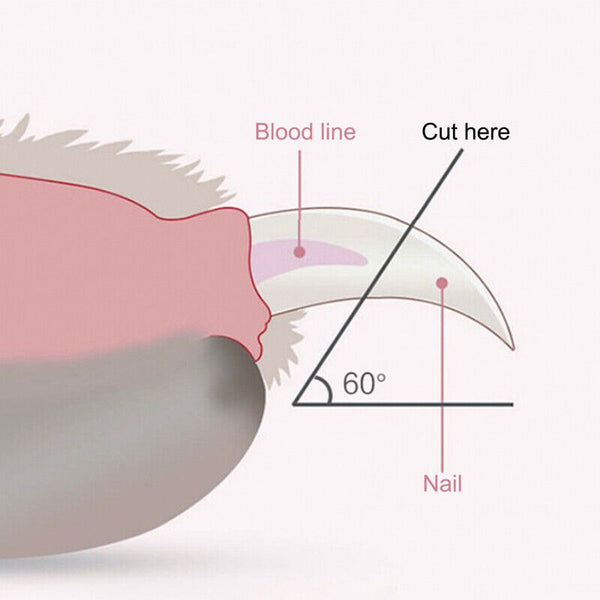 Pet Cat Dog Nail Toe Claw Clippers Scissors Trimmer Grooming Tool With LED Light