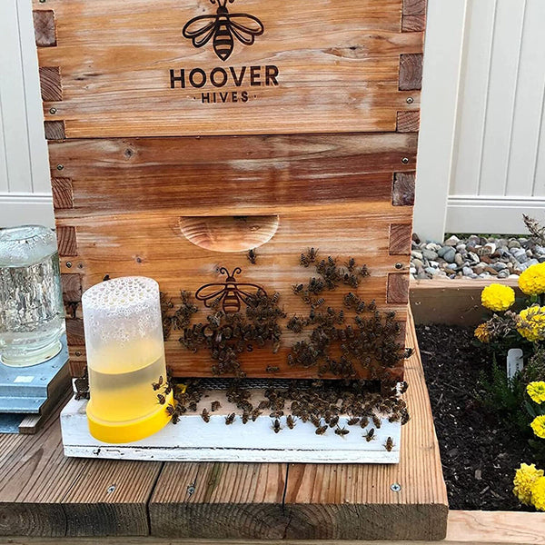 8 Pcs Bee Water Feeder Beehive Water Dispenser Honey Beehive Entrance Feeder AUS