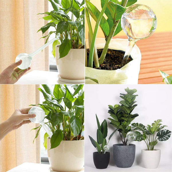 20Pcs Plant Water Bulbs Self Watering Globes Automatic Water Device Balls AUS