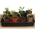 products/s-l1600_f4deb045-9bbf-435c-ba13-4fdf27bf6e73.jpg