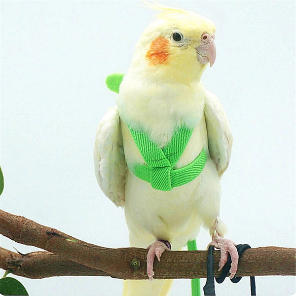 Adjustable Pet Parrot Bird Harness Lead Leash Flying Training Rope Cockatiel VIC