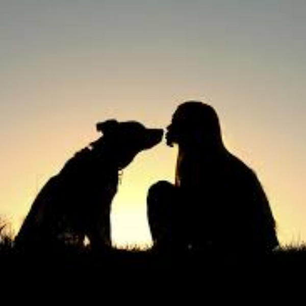 Pet Dog Squeaky Puppy Chew Squeaker Dental Teeth Clean Bite Training Funny Toy