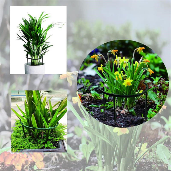 8X Stakes Plant Support Stand Garden Climbing Trellis +50X Plant Garden Clips AU