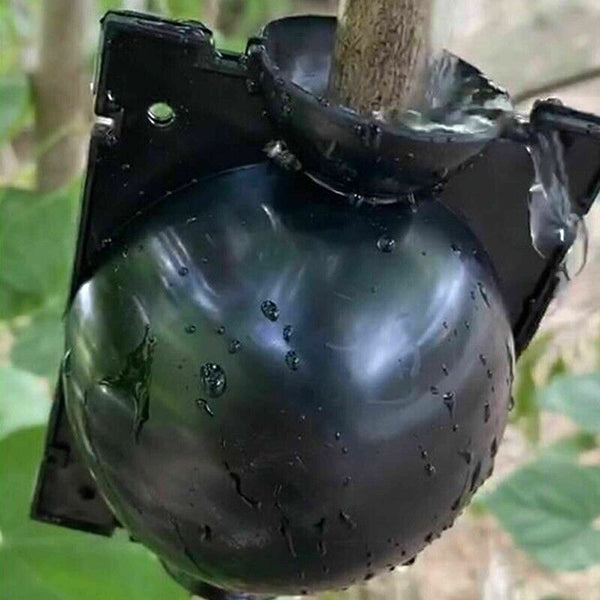 10Pcs Plant Rooting High Pressure Propagation Ball Root Grow Grafting Box AU