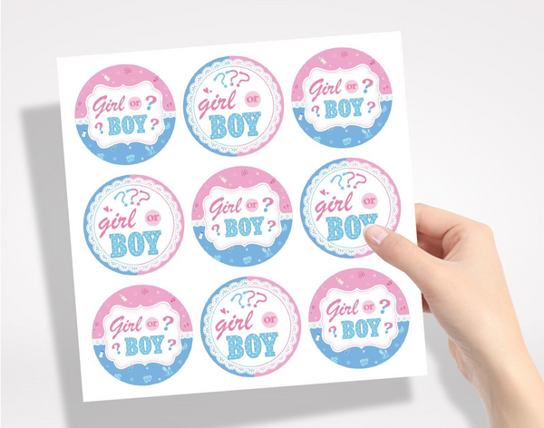 12PCS Girl Or Boy Paper Lolly Gift Bag & 18pcs Stickers Baby Shower Party
