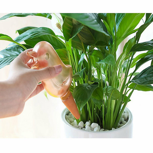 4PCS Plant Self Watering Spikes Pot Drip Irrigation Garden Tool Plant Waterer AU