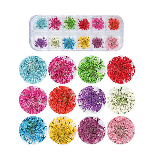 12 Colours 36pcs Real Dried Flowers Nail Art Decoration DIY Tips Nail Decals AU