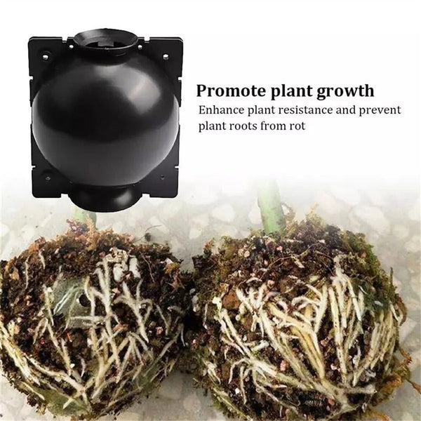 24PCS Plant Rooting Device High Pressure Propagation Ball Root Grow Grafting Box