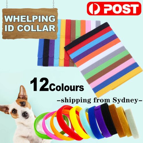 12 Colours Whelping ID Collar Bands Pet Puppy Kitten Identification Collar Tags