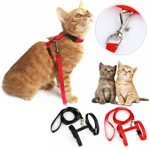 Cat Kitten Pet Walking Harness Lead Nylon Leash Adjustable Collar with Clip - Lets Party