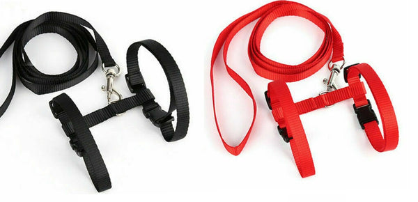 Cat Kitten Pet Walking Harness Lead Nylon Leash Adjustable Collar with Clip - Lets Party