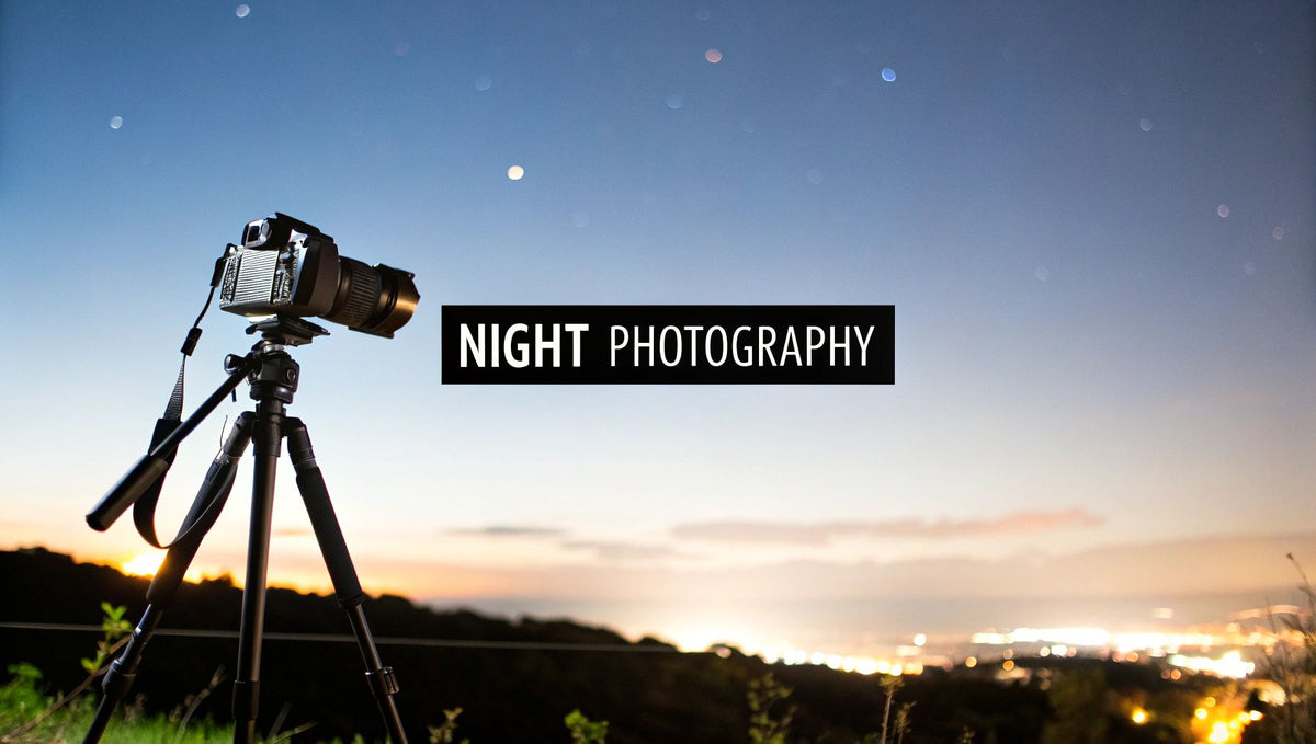 Best Camera for Night Photography
