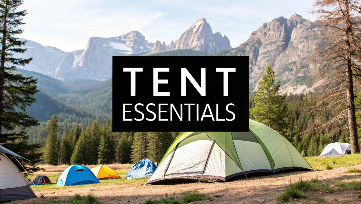 What to Look for in a Tent Your Complete Guide
