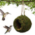 files/10_803f5839-30bf-4537-8e37-05062fff42ef.jpg