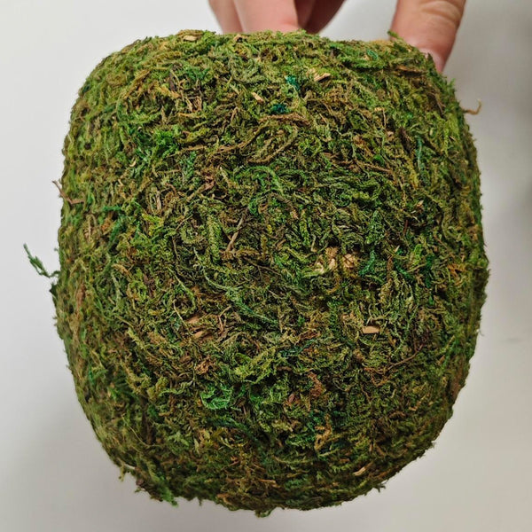 Hanging Bird Nest Moss Shelter Natural Hideout Nesting Hut Cage Decora