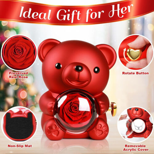 Eternal Rose Bear with Necklace Exquisite Gift Box for Valentine's&Mot